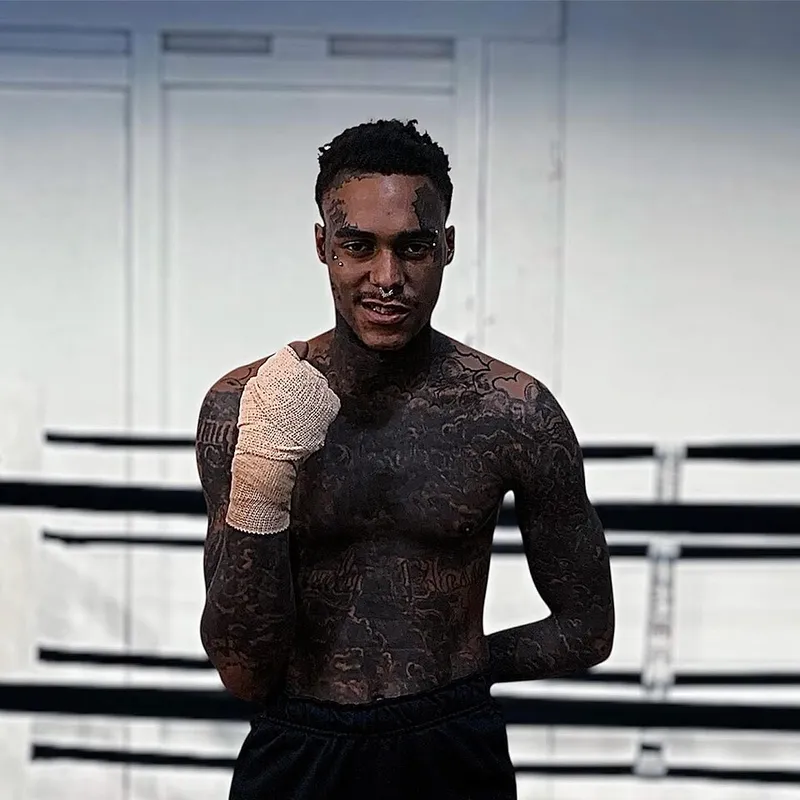 Boxer fotoğraf 5