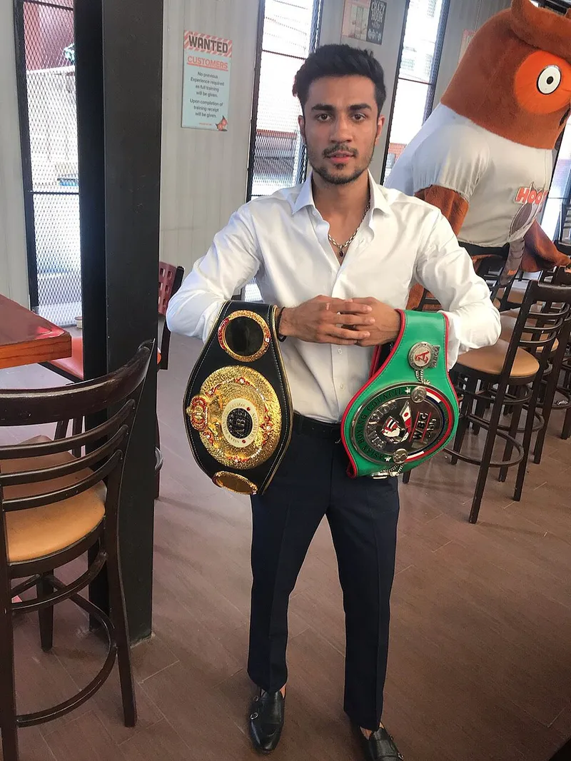 Boxer fotoğraf 6