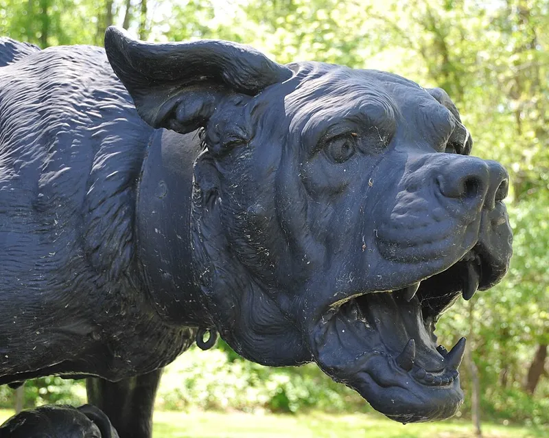 Bullmastiff fotoğraf 9