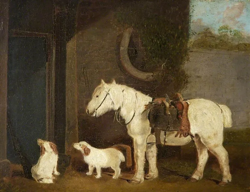 Clumber Spaniel fotoğraf 2