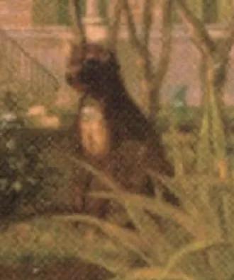 Fransız Bulldog fotoğraf 10