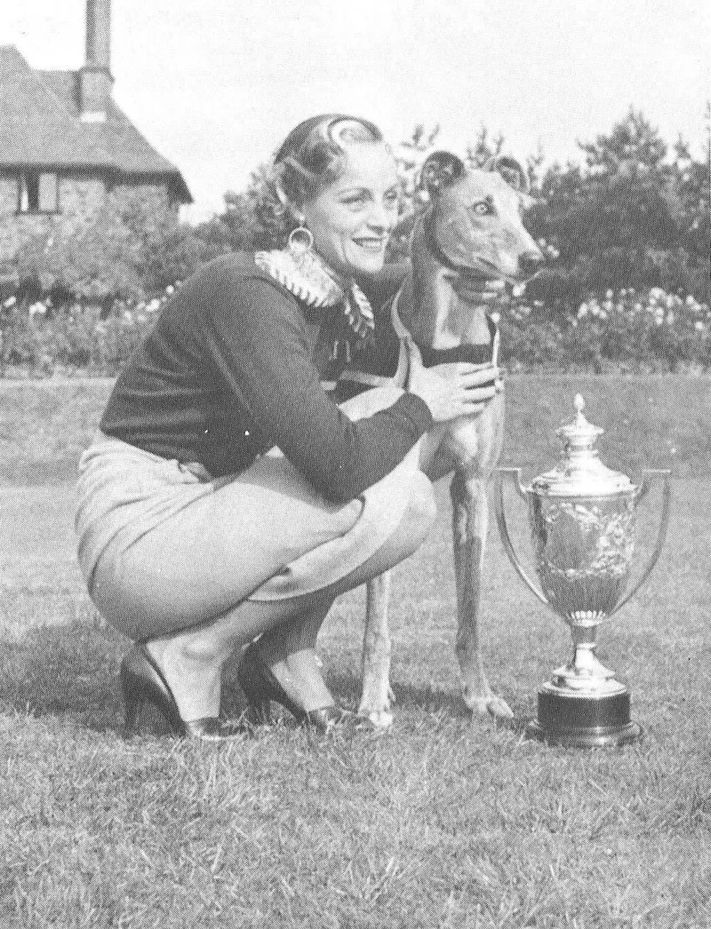 Greyhound fotoğraf 4