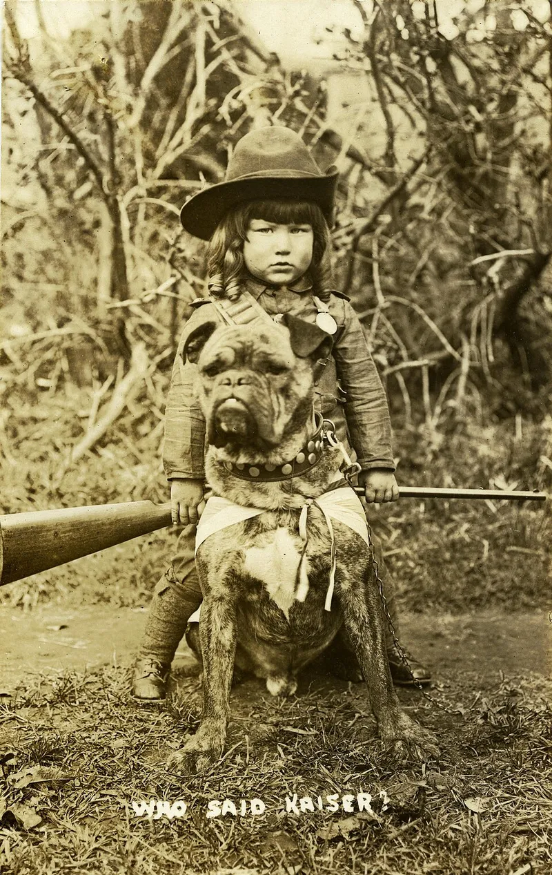 İngiliz Bulldog fotoğraf 2