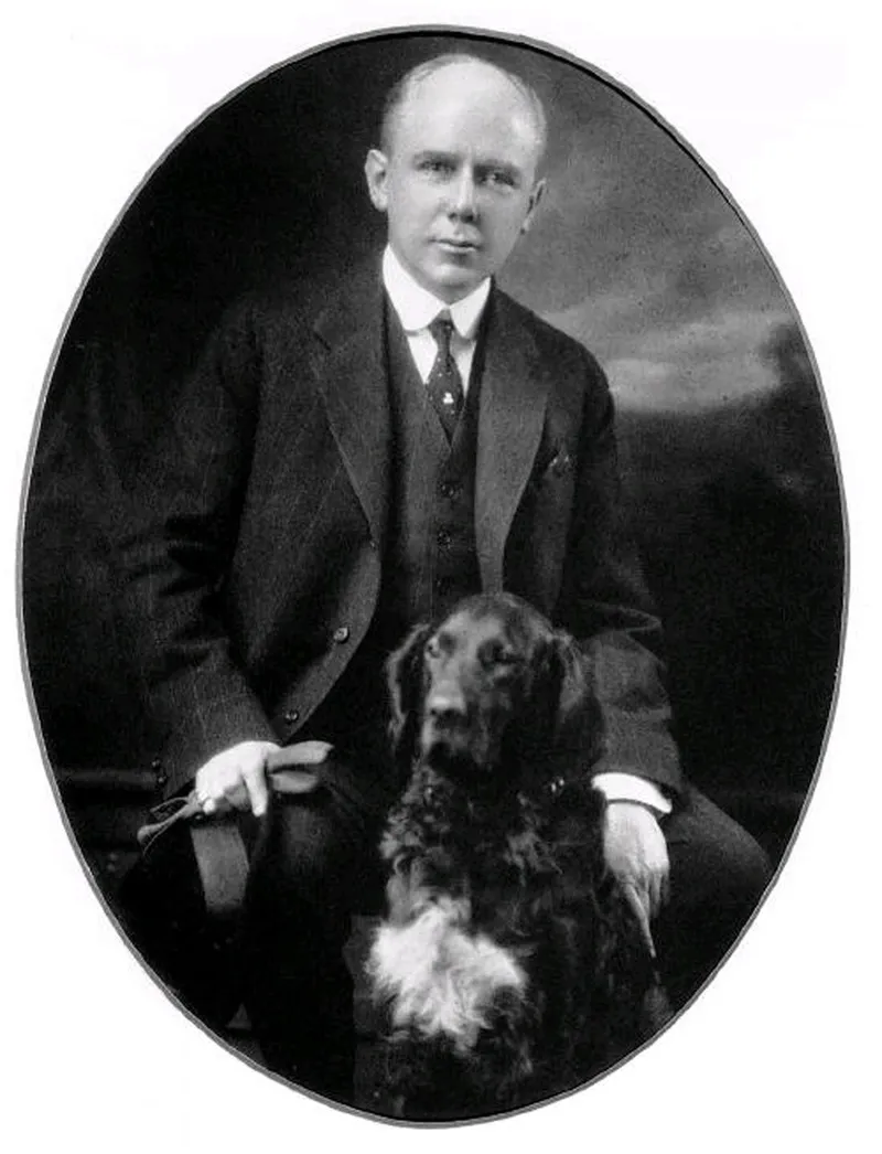 İrlanda Setter fotoğraf 7