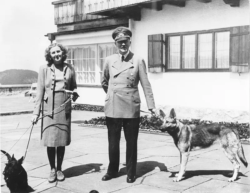 İskoç Terrier fotoğraf 11