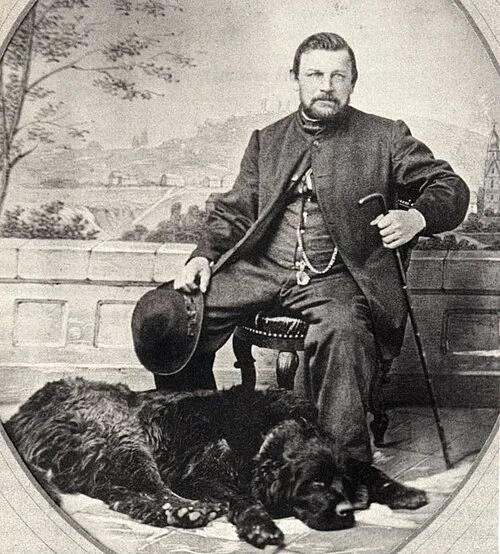Leonberger fotoğraf 2