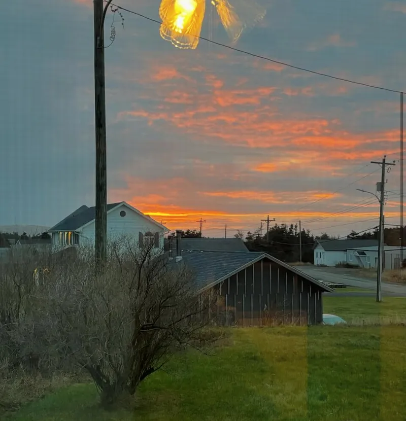 Newfoundland fotoğraf 2