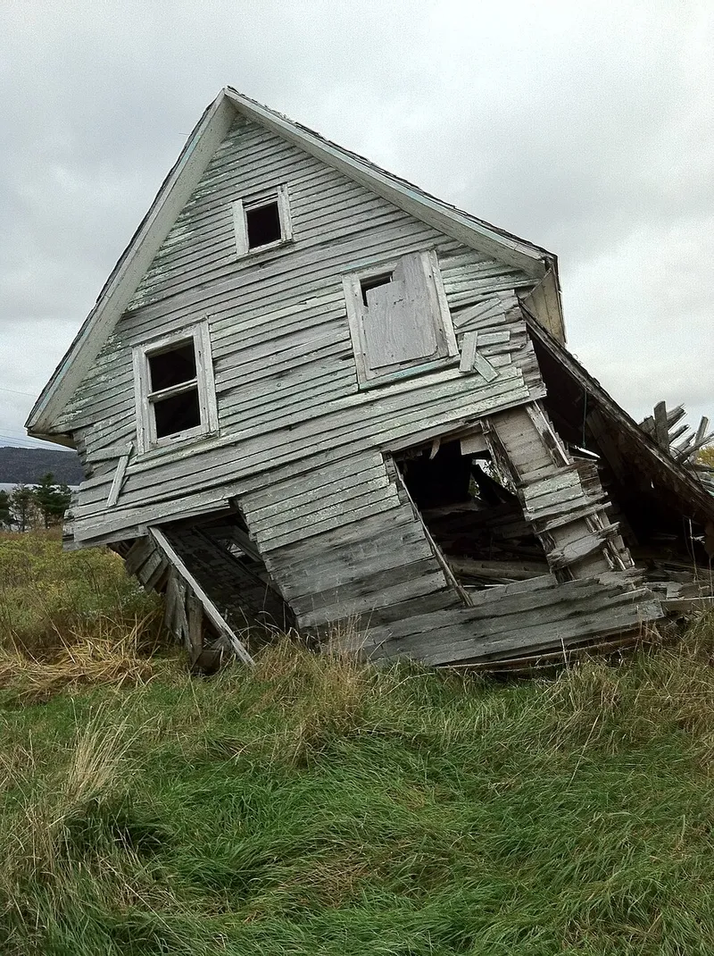 Newfoundland fotoğraf 3