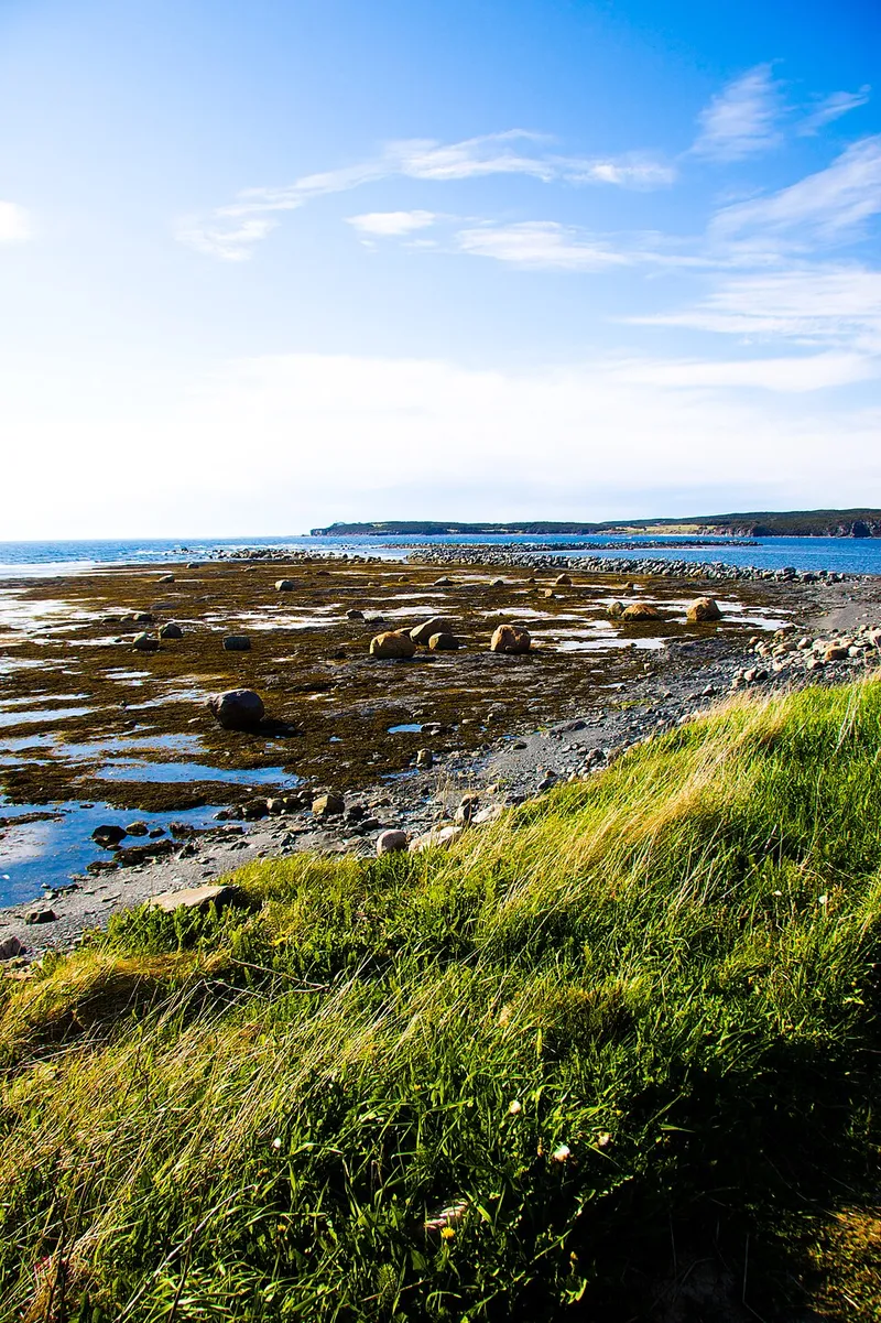 Newfoundland fotoğraf 6
