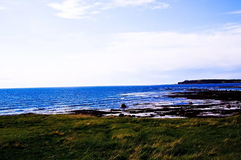 Newfoundland fotoğraf 7