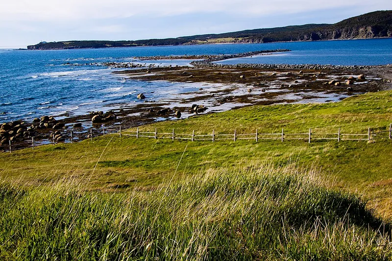 Newfoundland fotoğraf 10