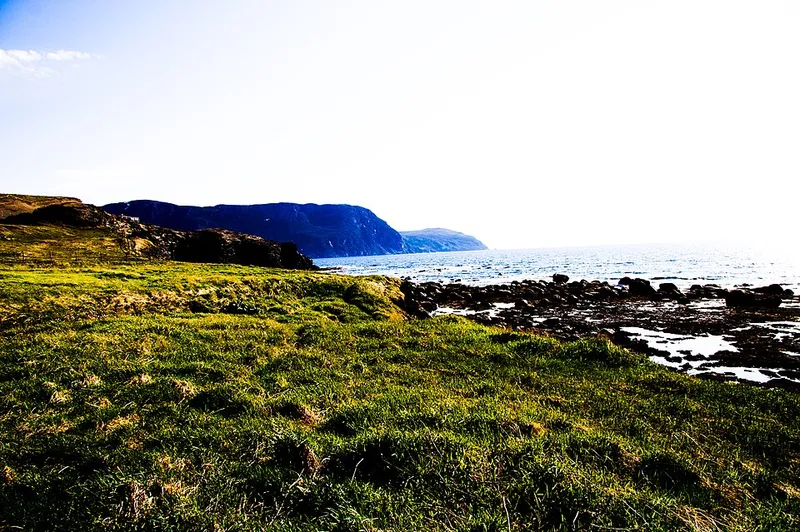 Newfoundland fotoğraf 11