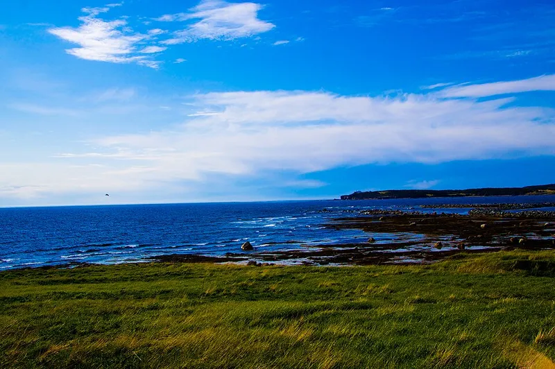 Newfoundland fotoğraf 12