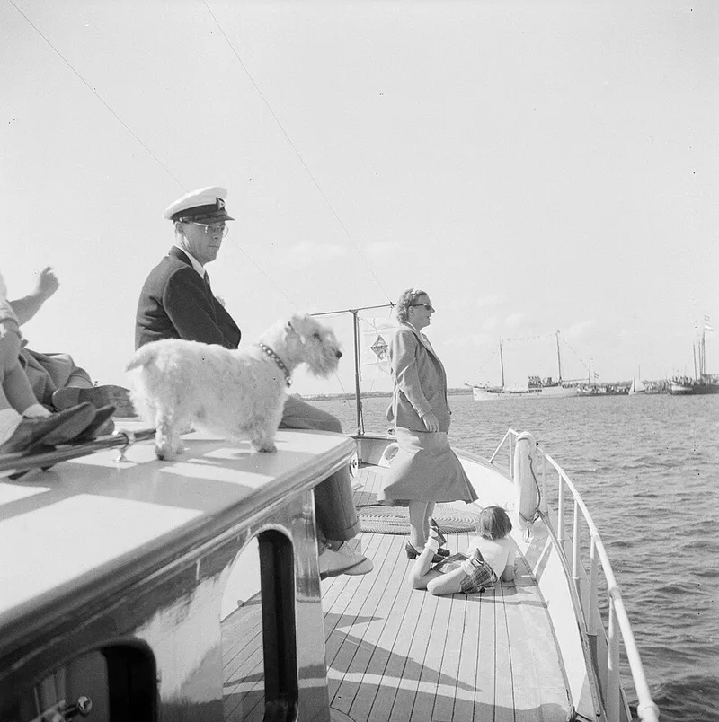 Sealyham Terrier fotoğraf 8