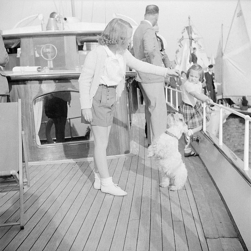 Sealyham Terrier fotoğraf 9