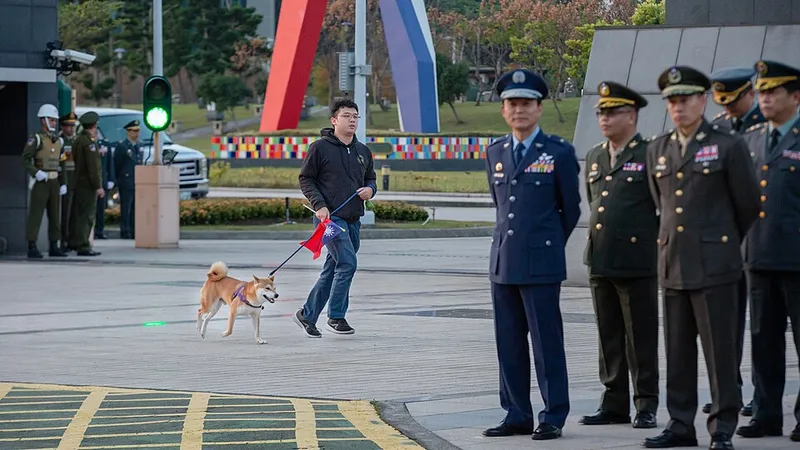 Shiba Inu fotoğraf 1