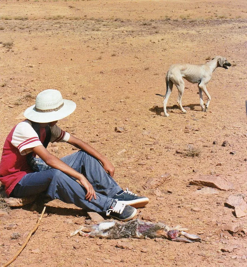 Sloughi fotoğraf 9