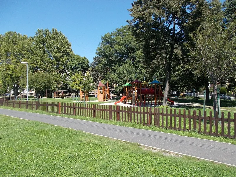 Vizsla fotoğraf 5