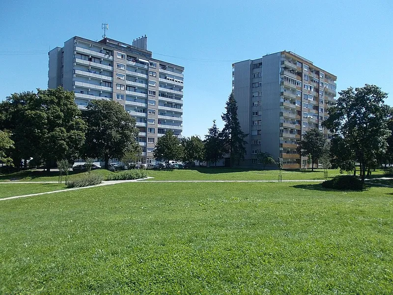 Vizsla fotoğraf 6