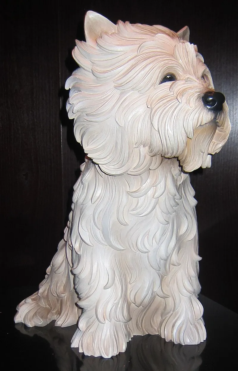 West Highland White Terrier fotoğraf 2